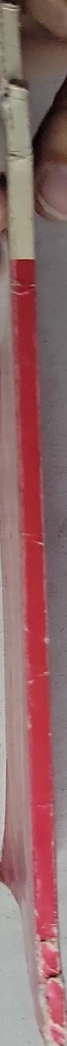 100 Jahre Mainzer Prinzengarde 1884-1984