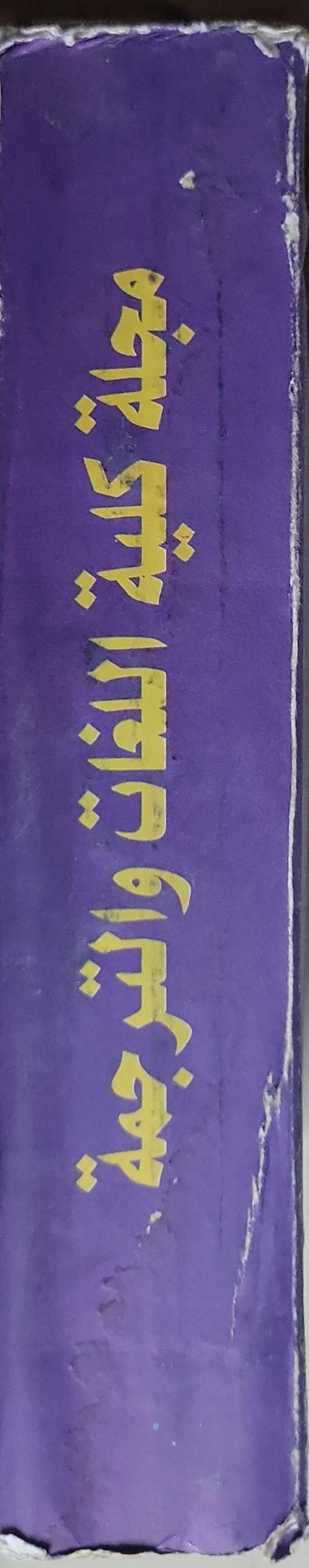 مجلة كلية اللغات والترجمة: العدد الثالث والثلاثون (2002)