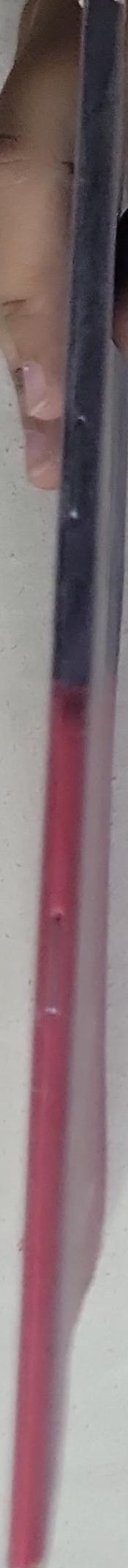 36 Cairo International Film Festival: Nov. 9-18, 2014 • Cairo Opera House