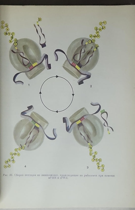 Современная биология