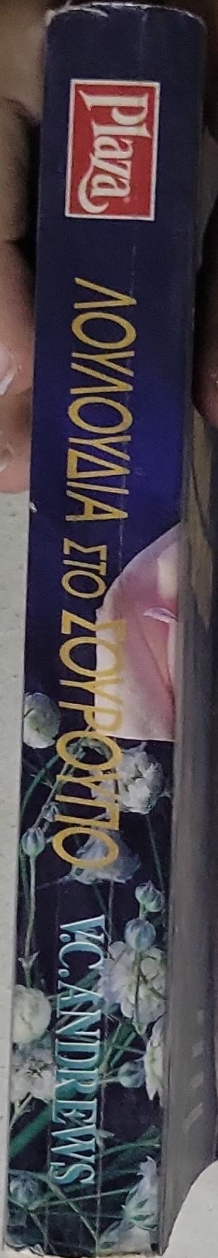 ΛΟΥΛΟΥΔΙΑ ΣΤΟ ΣΟΥΡΟΥΠΟ