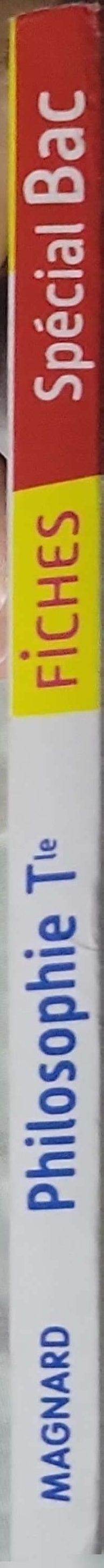 Philosophie (Tle): 47 fiches pour réussir !