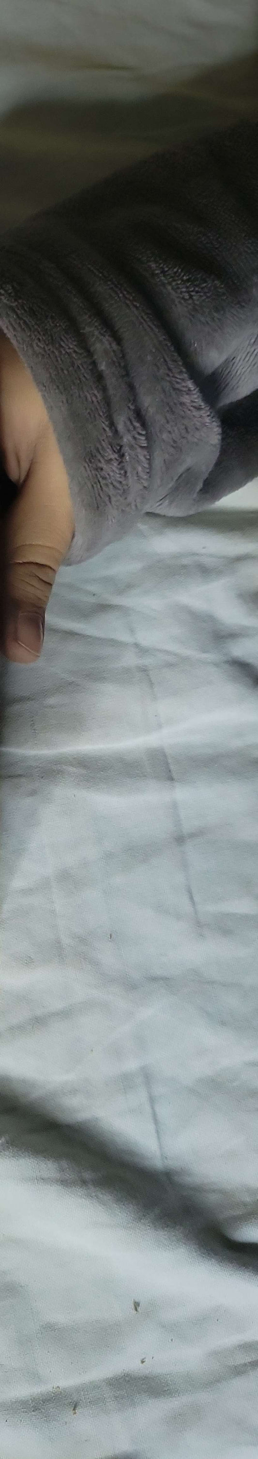 Berlitz Turkish Phrase Book & Dictionary: The Language of Travel