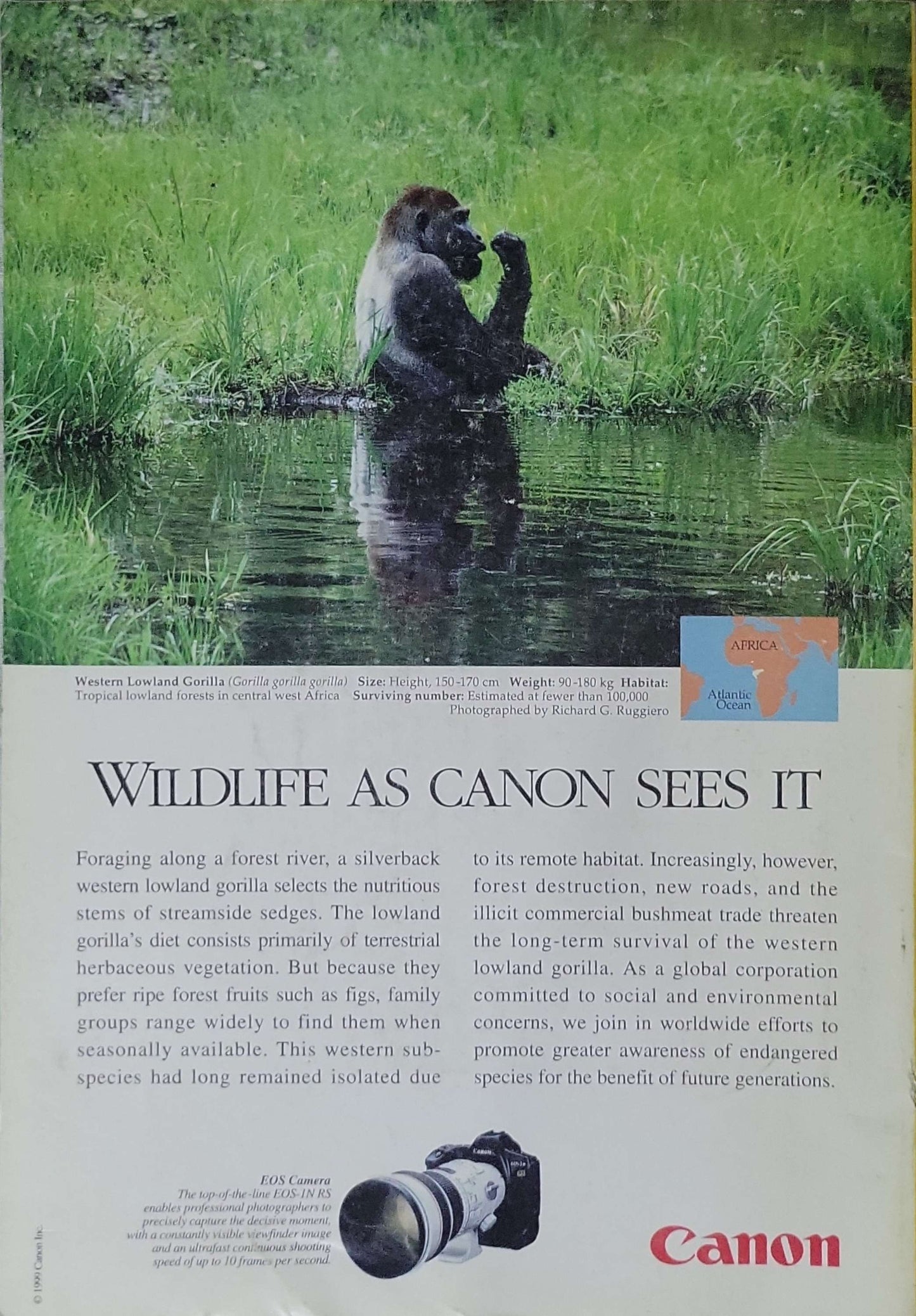 National Geographic (1999): July 1999, Vol. 196, No. 1 — "Iran: Testing the Waters of Reform"