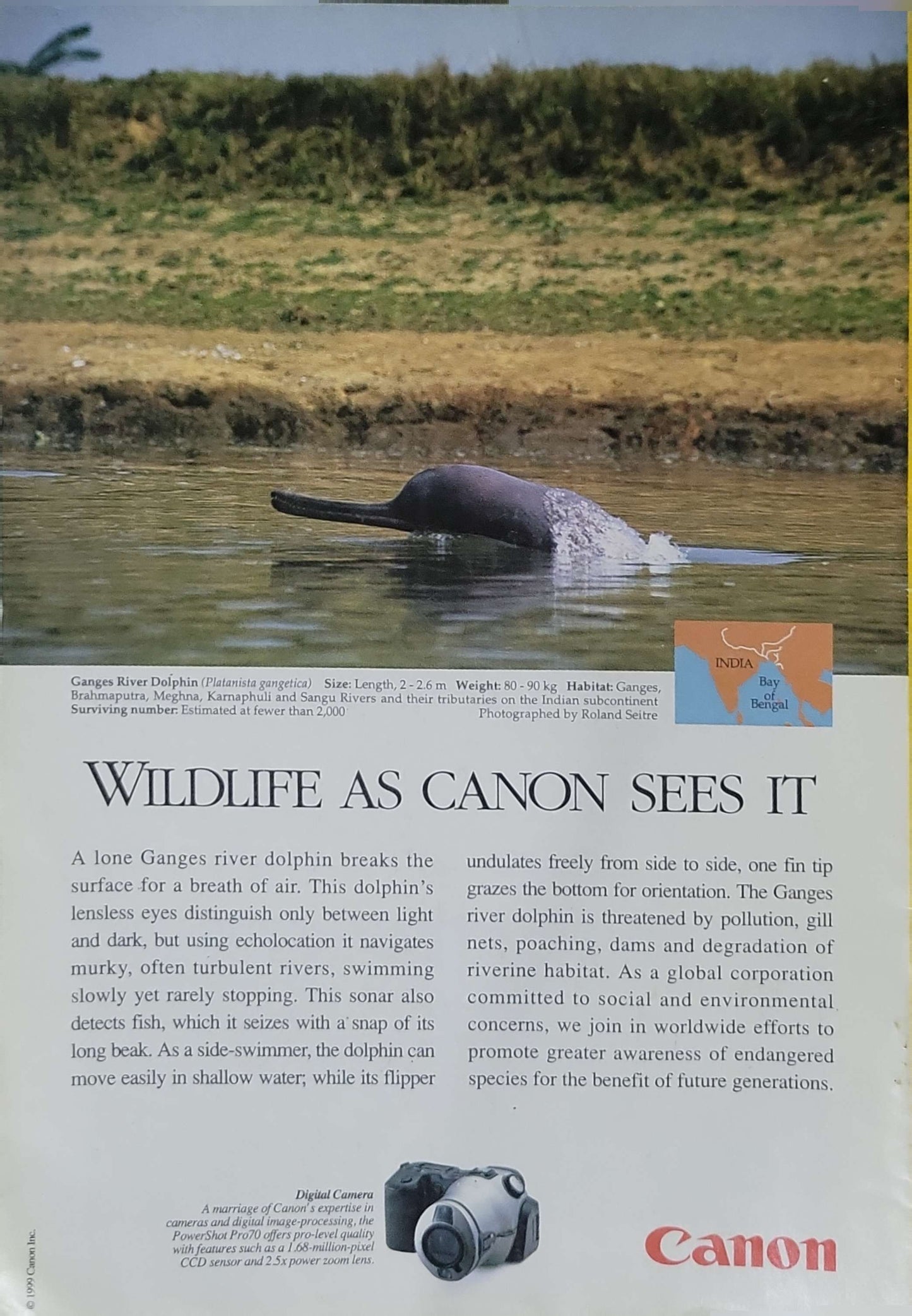 National Geographic (1999): April 1999 — Vol. 195, No. 4 By Editors of National Geographic