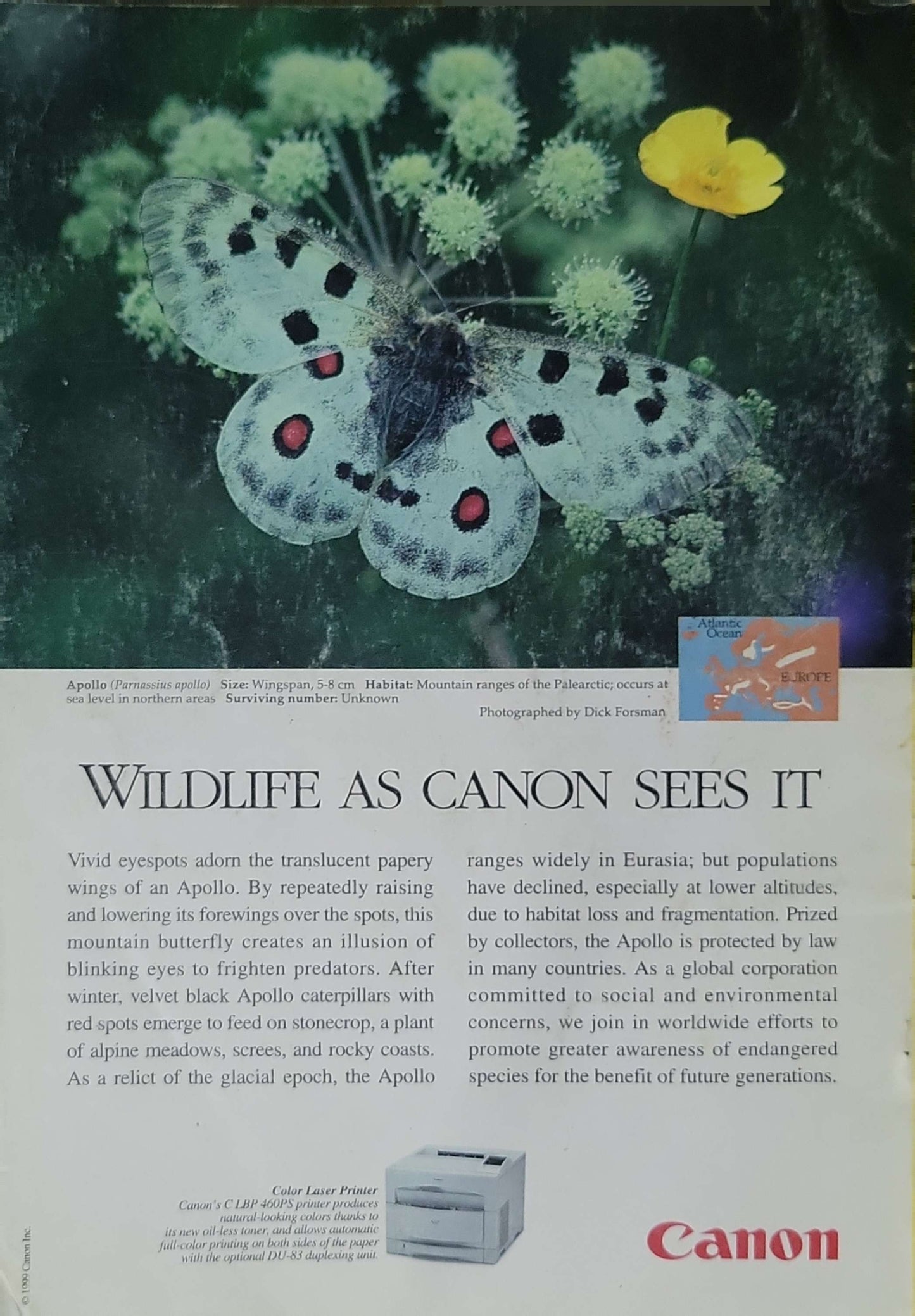 National Geographic (1999): Vol. 195, No. 6 — June 1999 (single issue) By John J. Putman and Alan Harvey