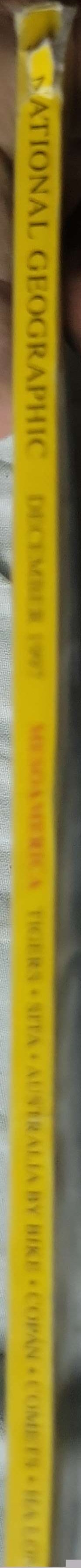 National Geographic — Wild Tigers (1997): Vol. 192, No. 6 (December 1997) By Geoffrey C. Ward and Michael Nichols (photographer)