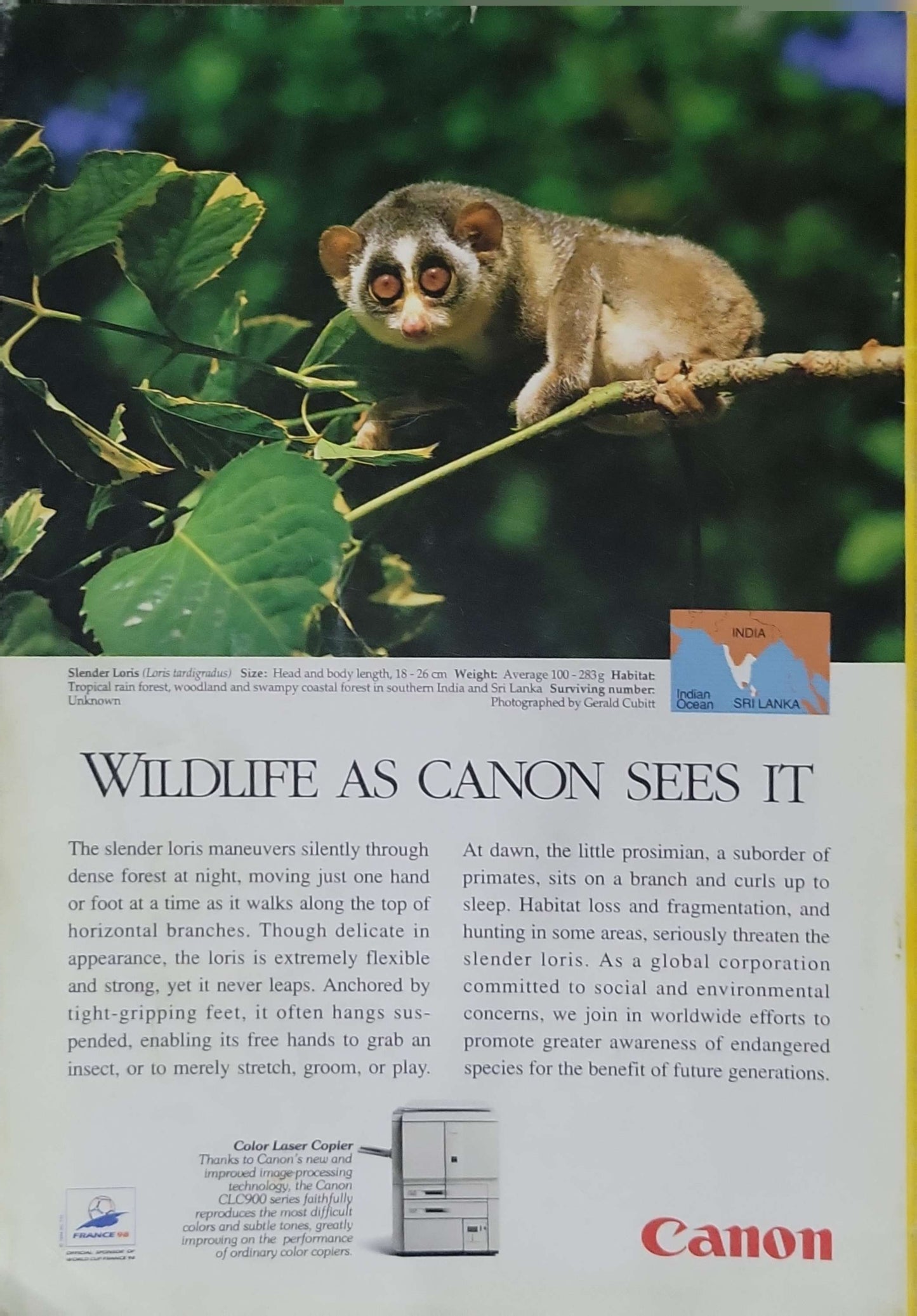 National Geographic (1998): July 1998 — Vol. 194, No. 1