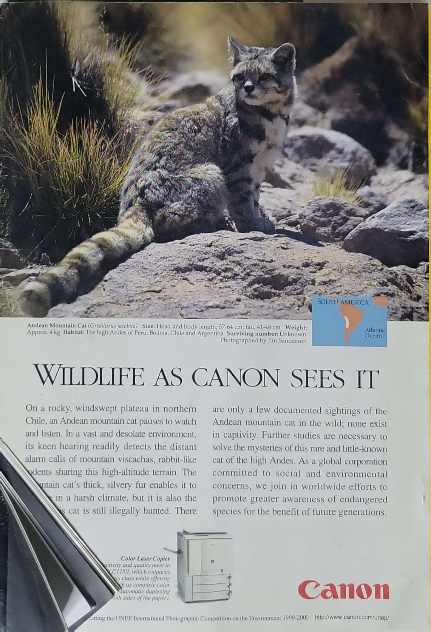 National Geographic (2000): Vol. 197, No. 2 — February 2000