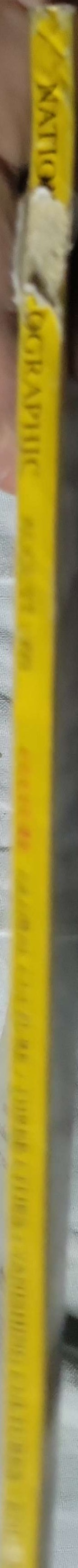 National Geographic (1999): Vol. 196, No. 2 — August 1999; Millennium Supplement: Culture