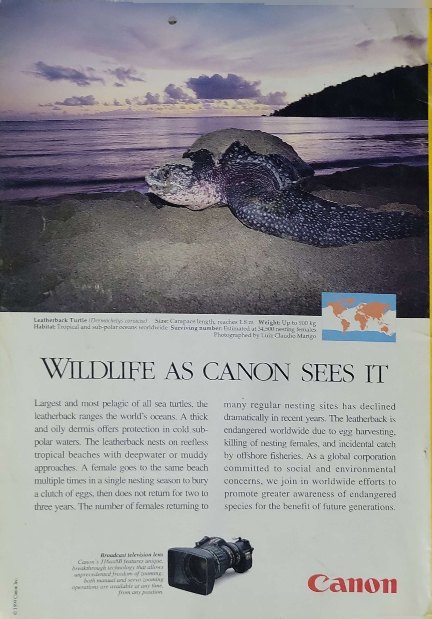 National Geographic (1999): Vol. 196, No. 2 — August 1999; Millennium Supplement: Culture