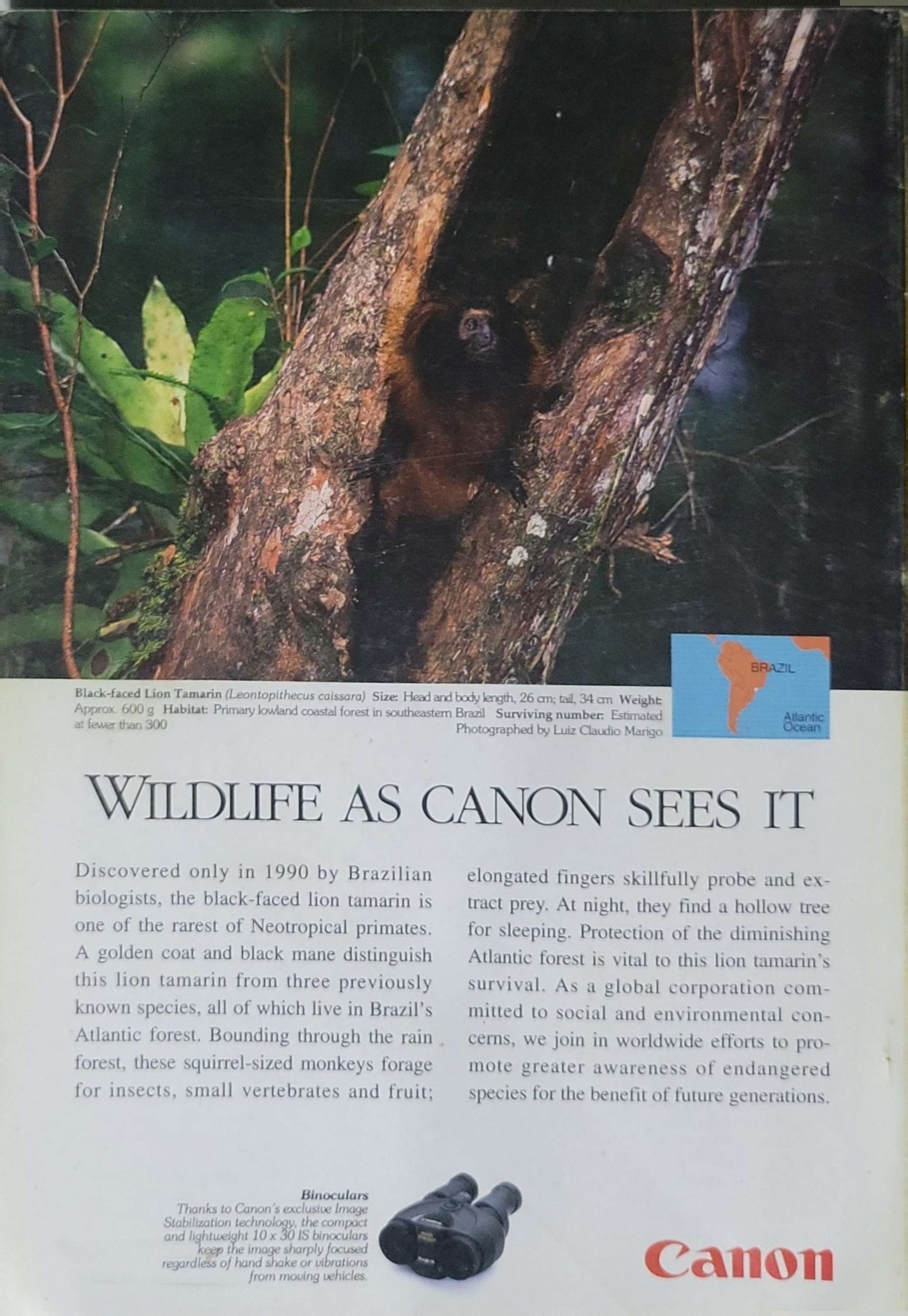 National Geographic (1998): Vol. 193, No. 2 — February 1998