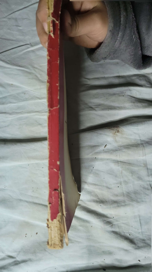 الحياة الخاصة لجوزيف ستالين جوان فينيان وبرنار لاهون