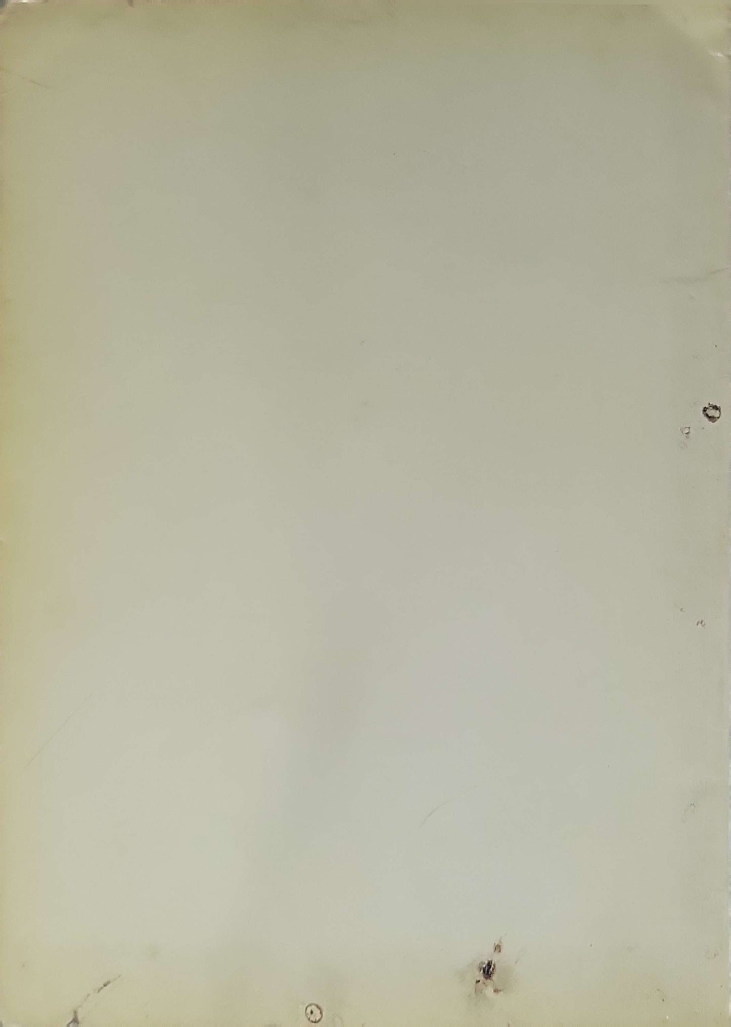 Roche Products on the Market (1981): March 1981 edition