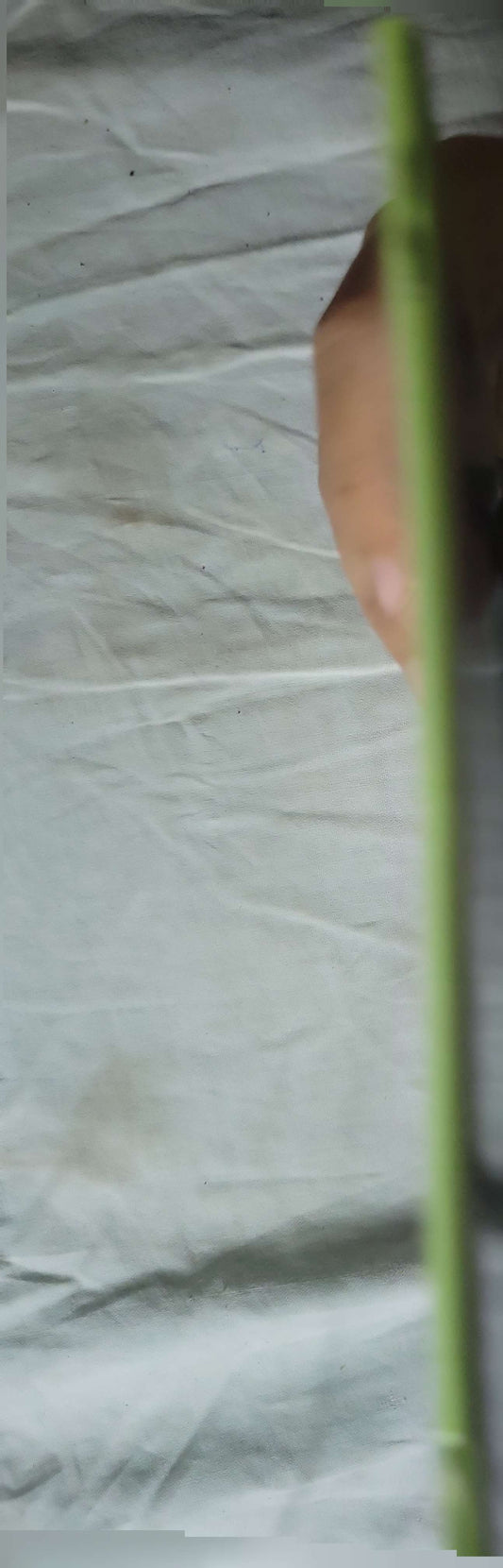 AL HAMDULILLAH, I CAN SAY IT !: Phonetics · Writing · Match me By SOBHI A GADELHAK