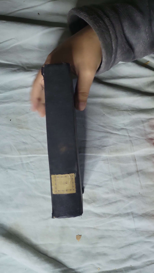 Les Amants de Venise By Michel Zevacco