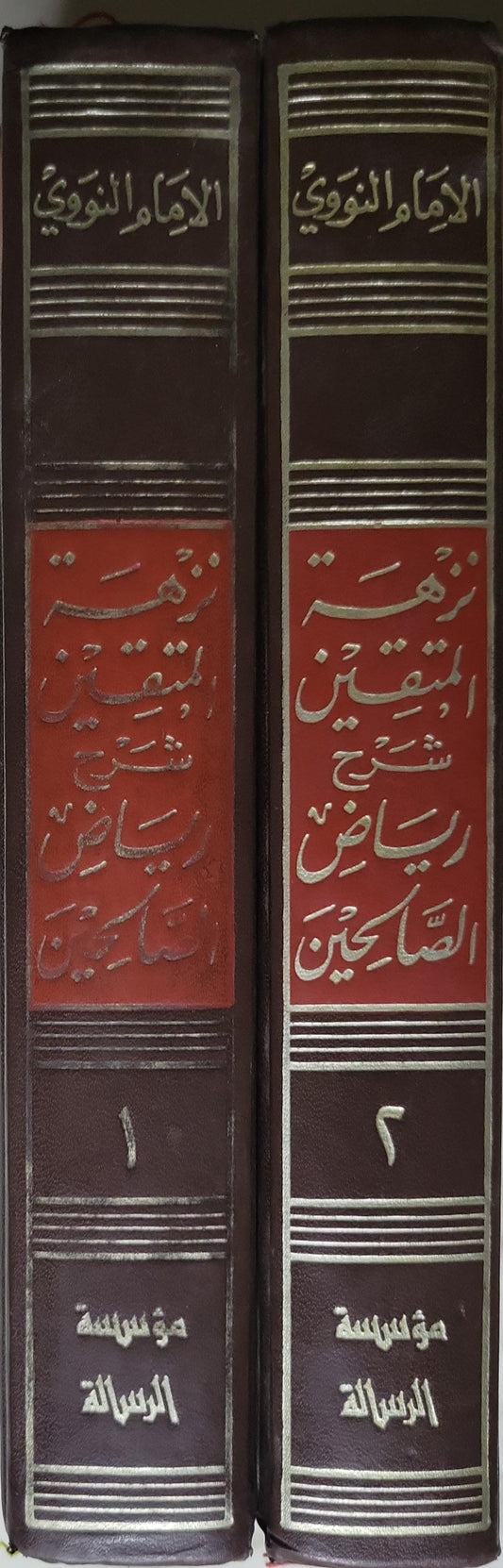 نزهة المتقين: شرح رياض الصالحين - الإمام النووي