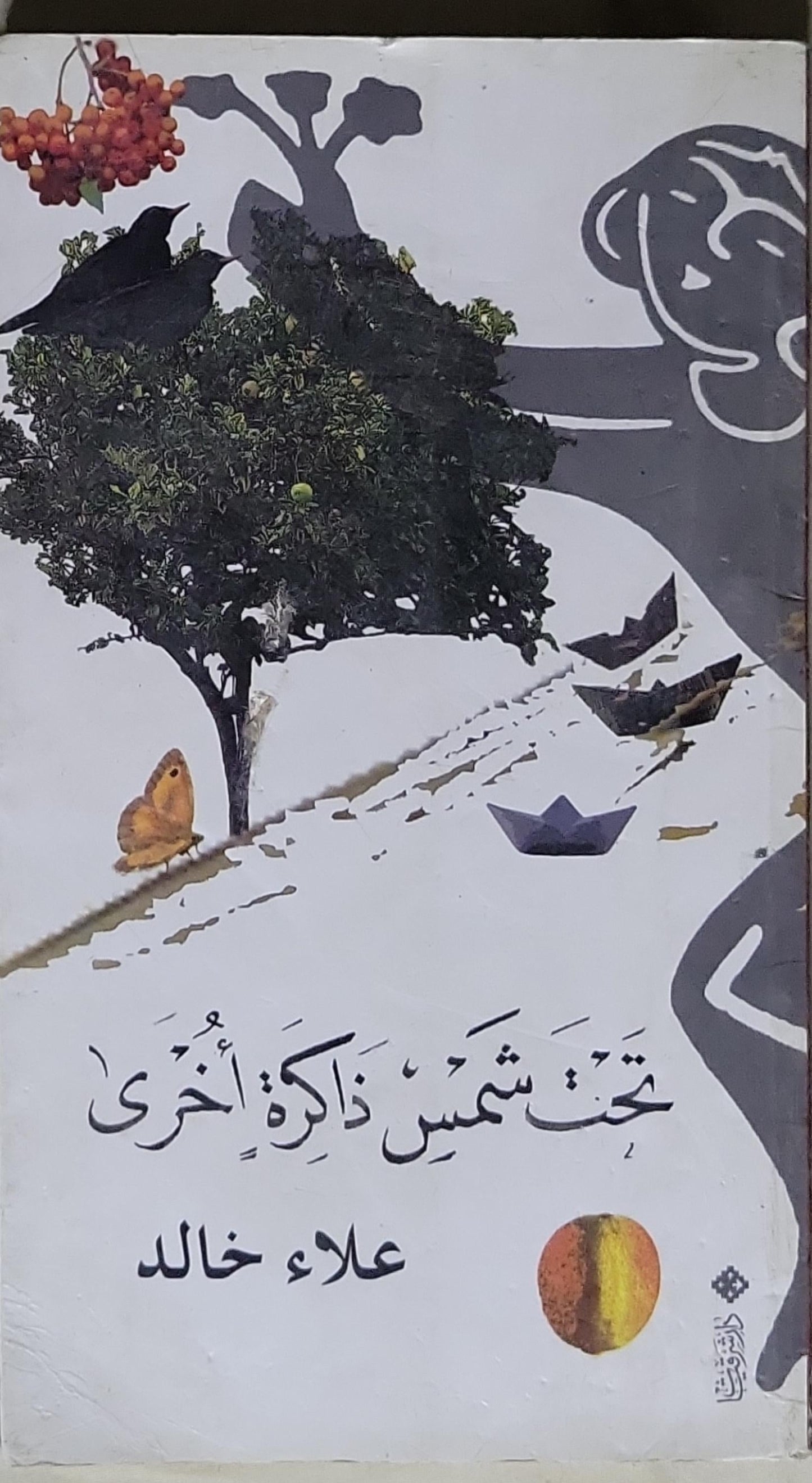 تحت شمس ذاكرةٍ أخرى - علاء خالد