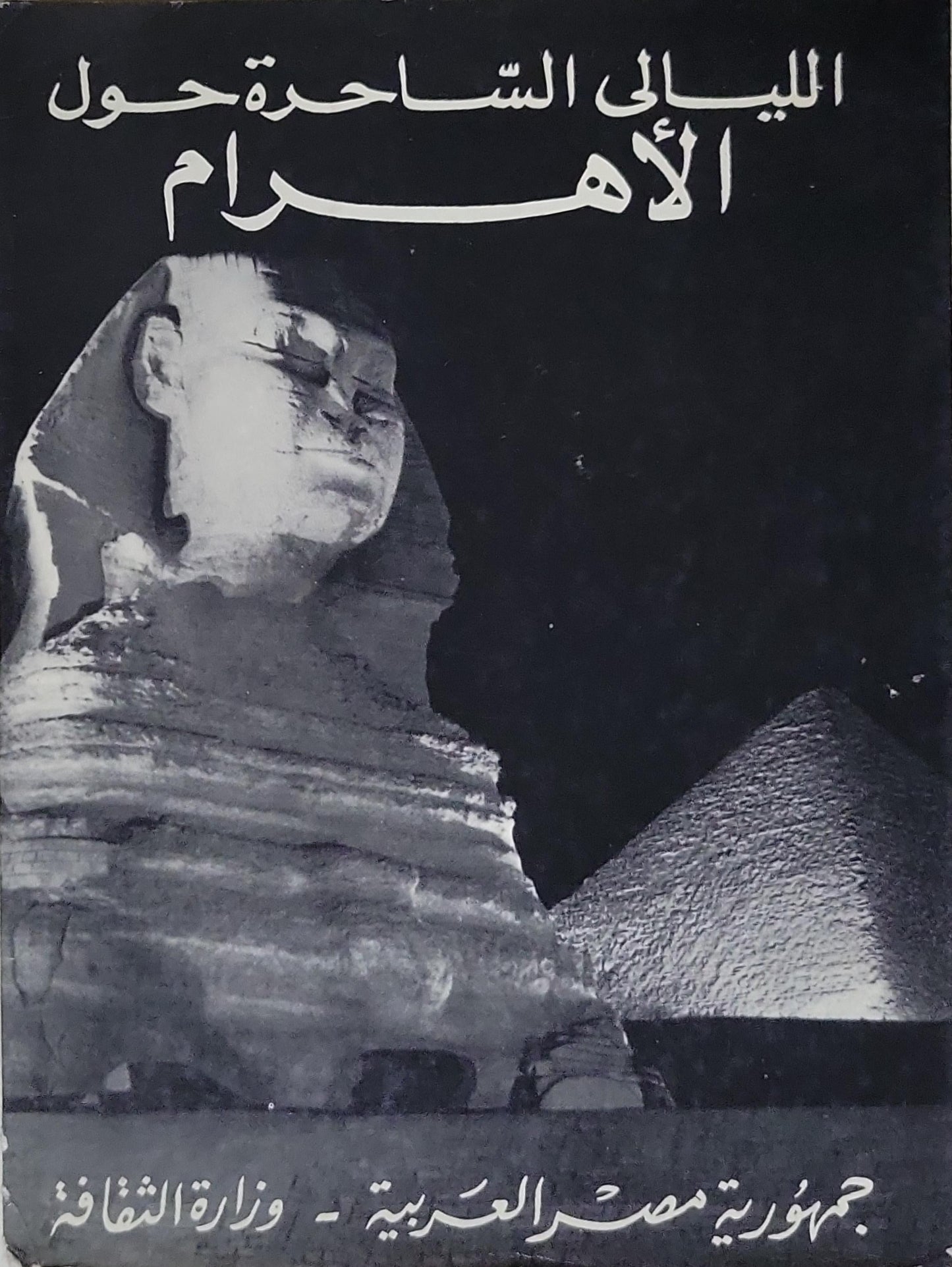 الليالي الساحرة حول الأهرام