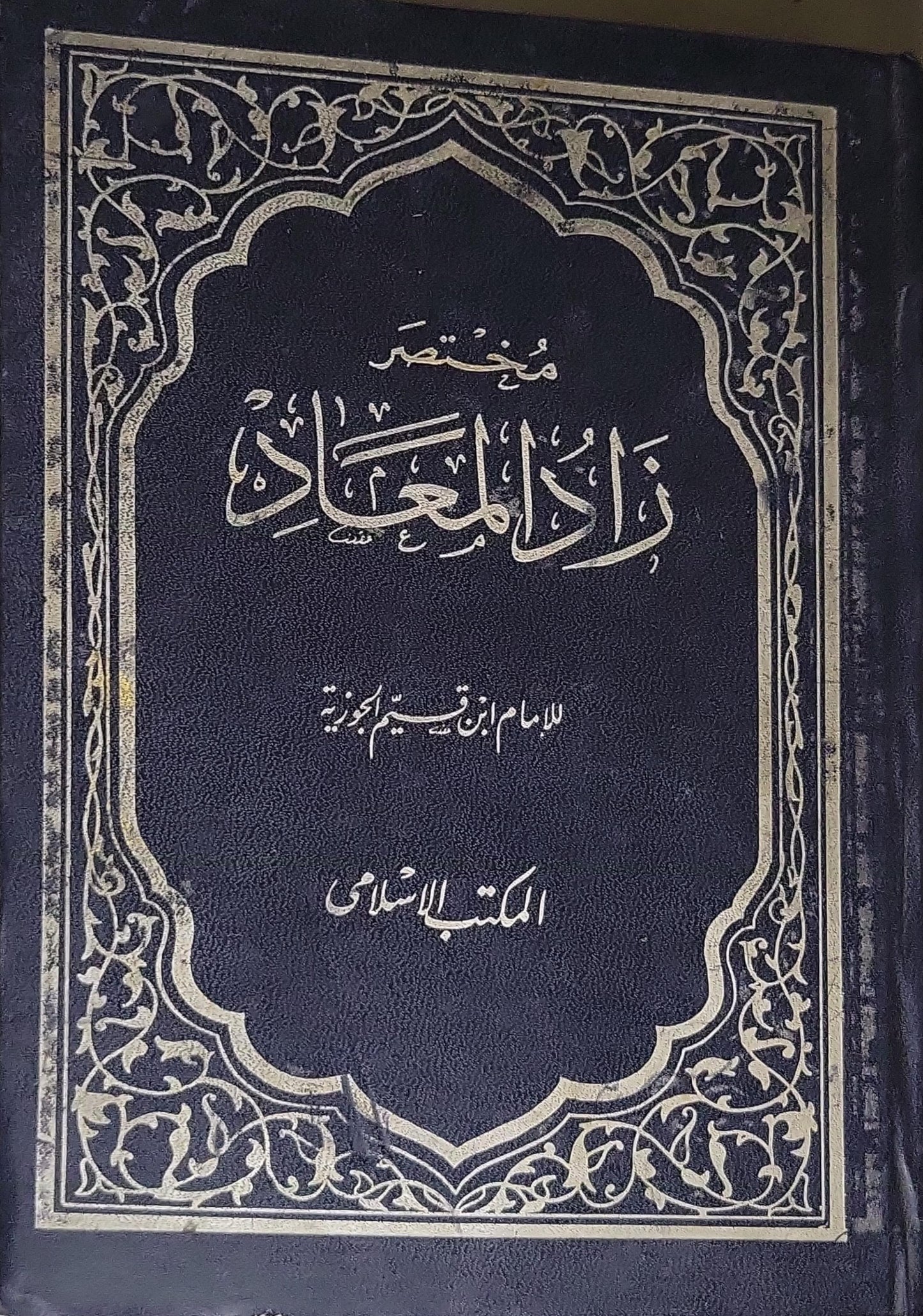 مختصر زاد المعاد - ابن قيم الجوزية