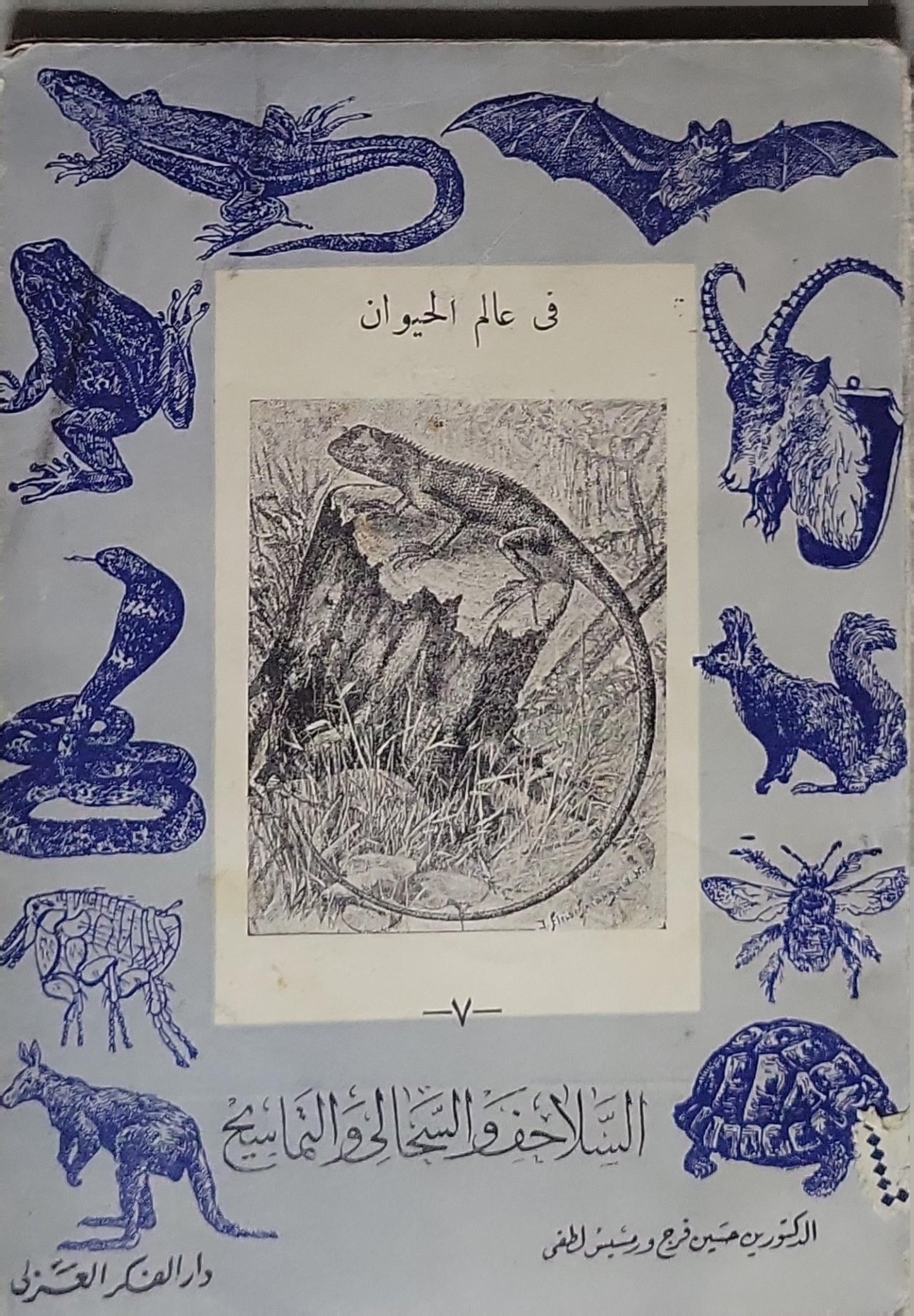 في عالم الحيوان: ٧ - السلاحف والسحالي والتماسيح