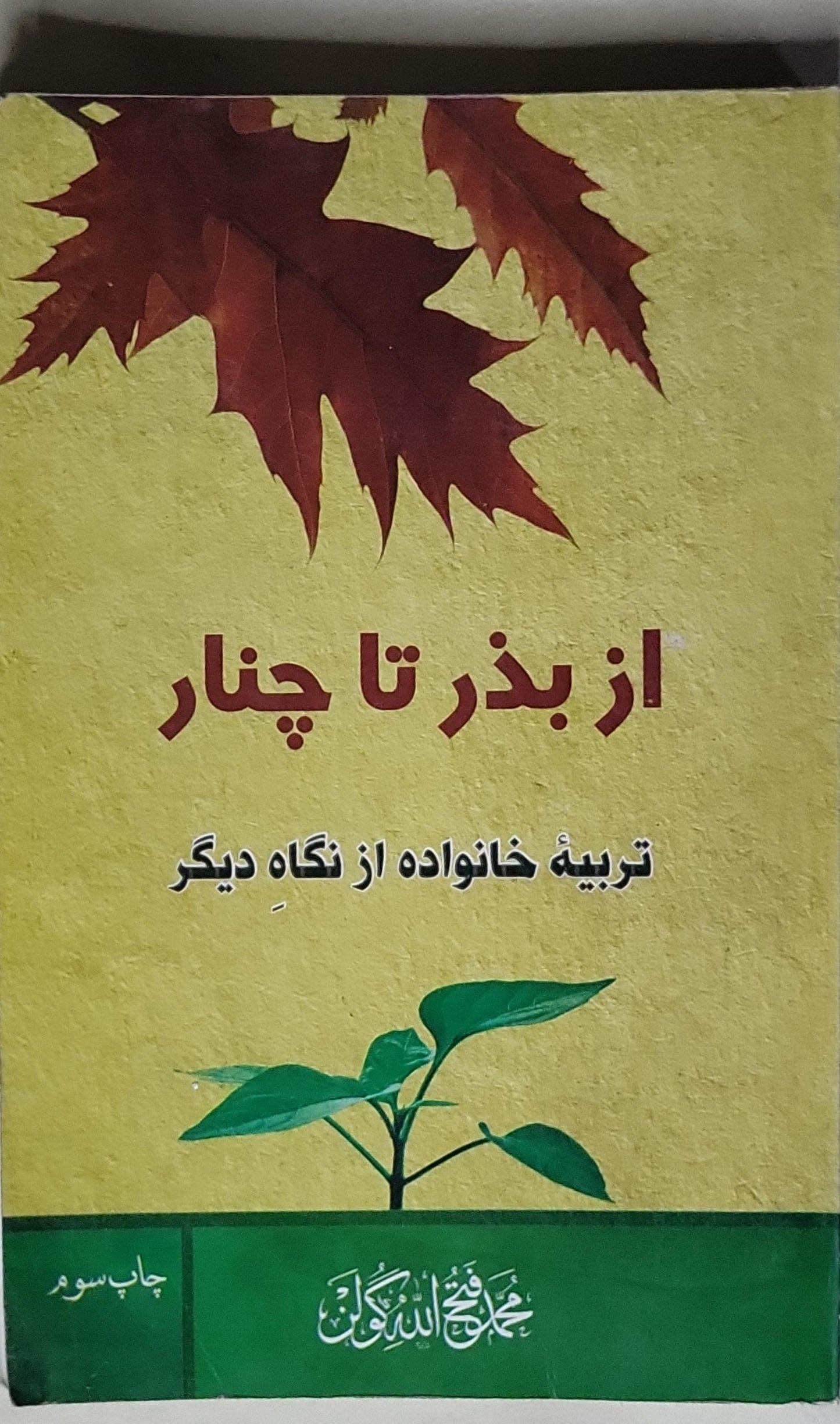 از بذر تا چنار: تربیهء خانواده از نگاه دیگر