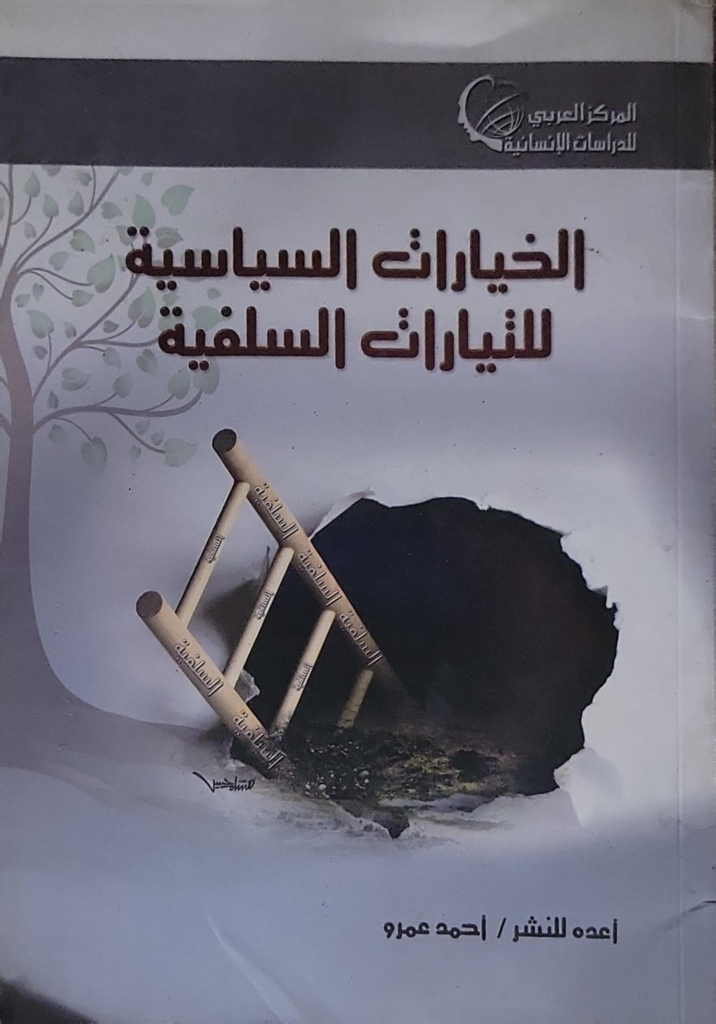 الخيارات السياسية للتيارات السلفية - أحمد عمرو