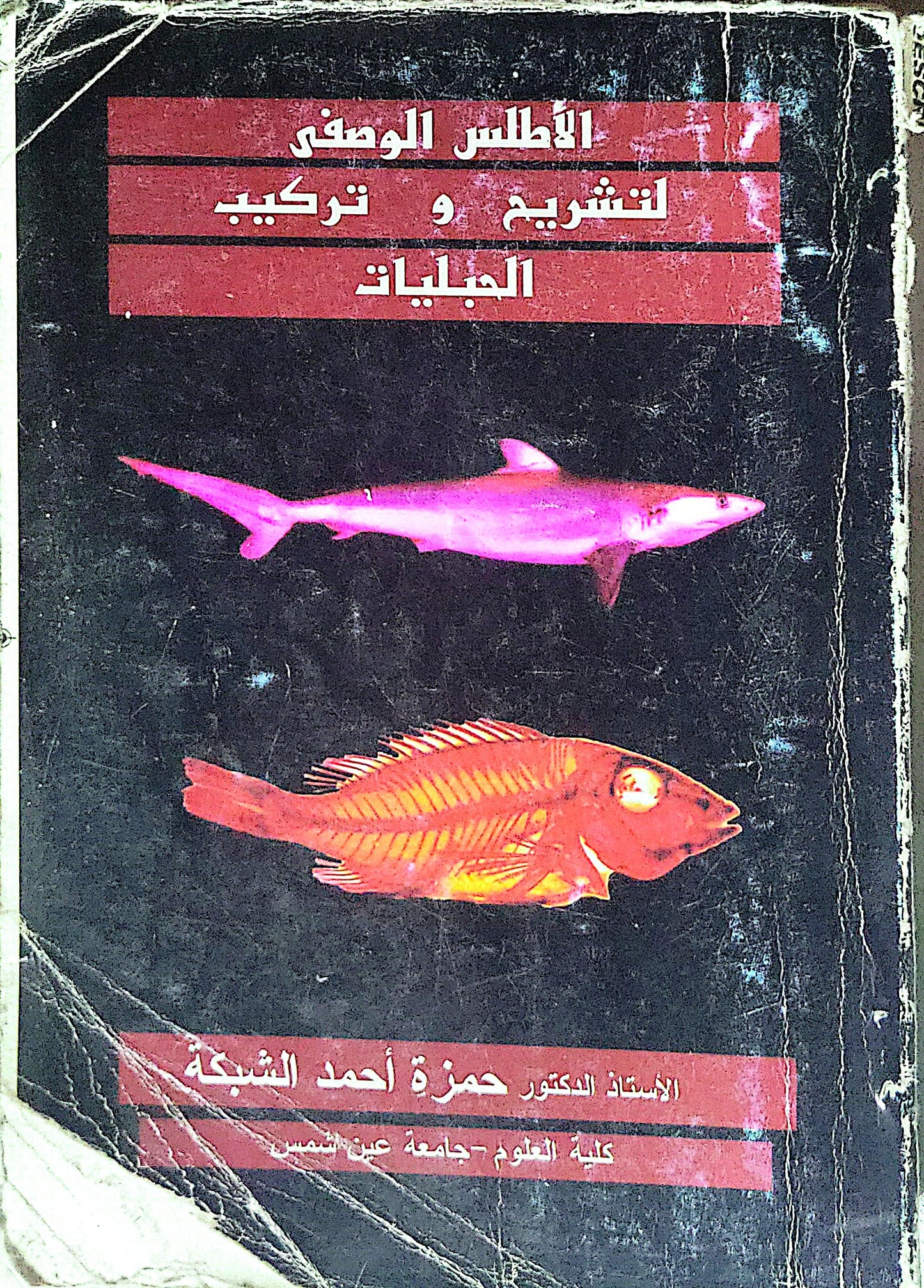 الأطلس الوصفي لتشريح و تركيب الحبليات - حمزة أحمد الشبكة