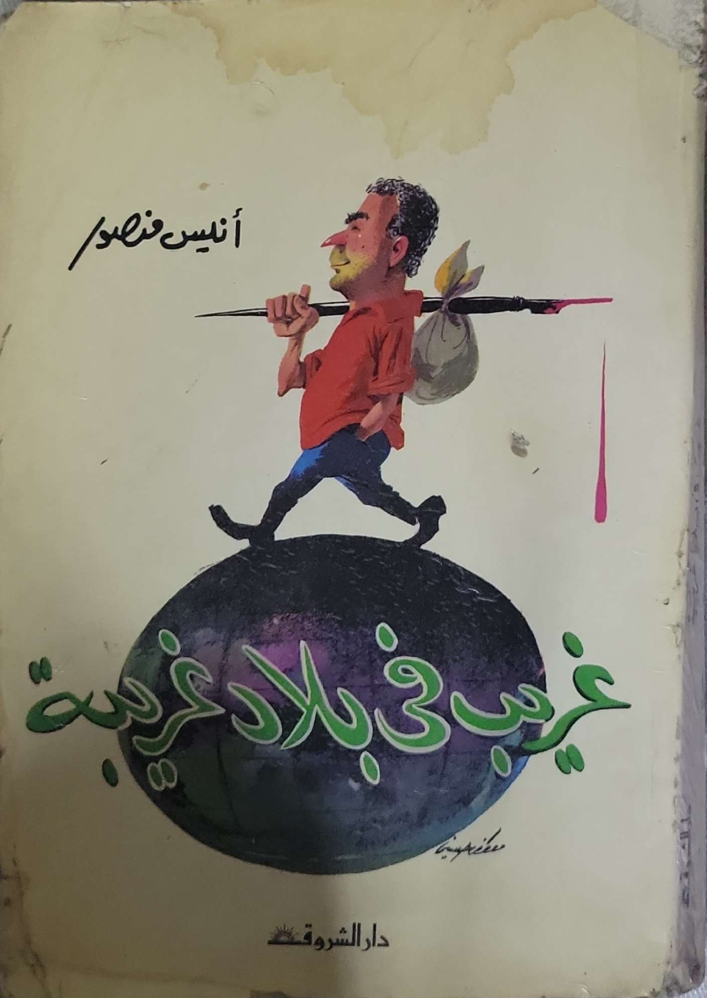 غريب في بلاد غريبة - أنيس منصور