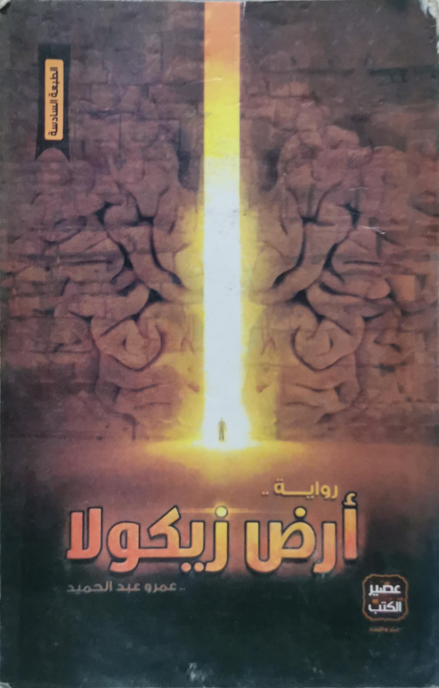 أرض زيكولا: رواية — الطبعة السادسة - عمرو عبد الحميد