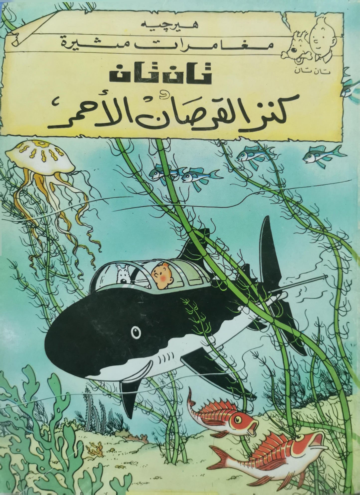 كنز القرصان الأحمر: مغامرات مشوّقة: تان تان - هيرجيه