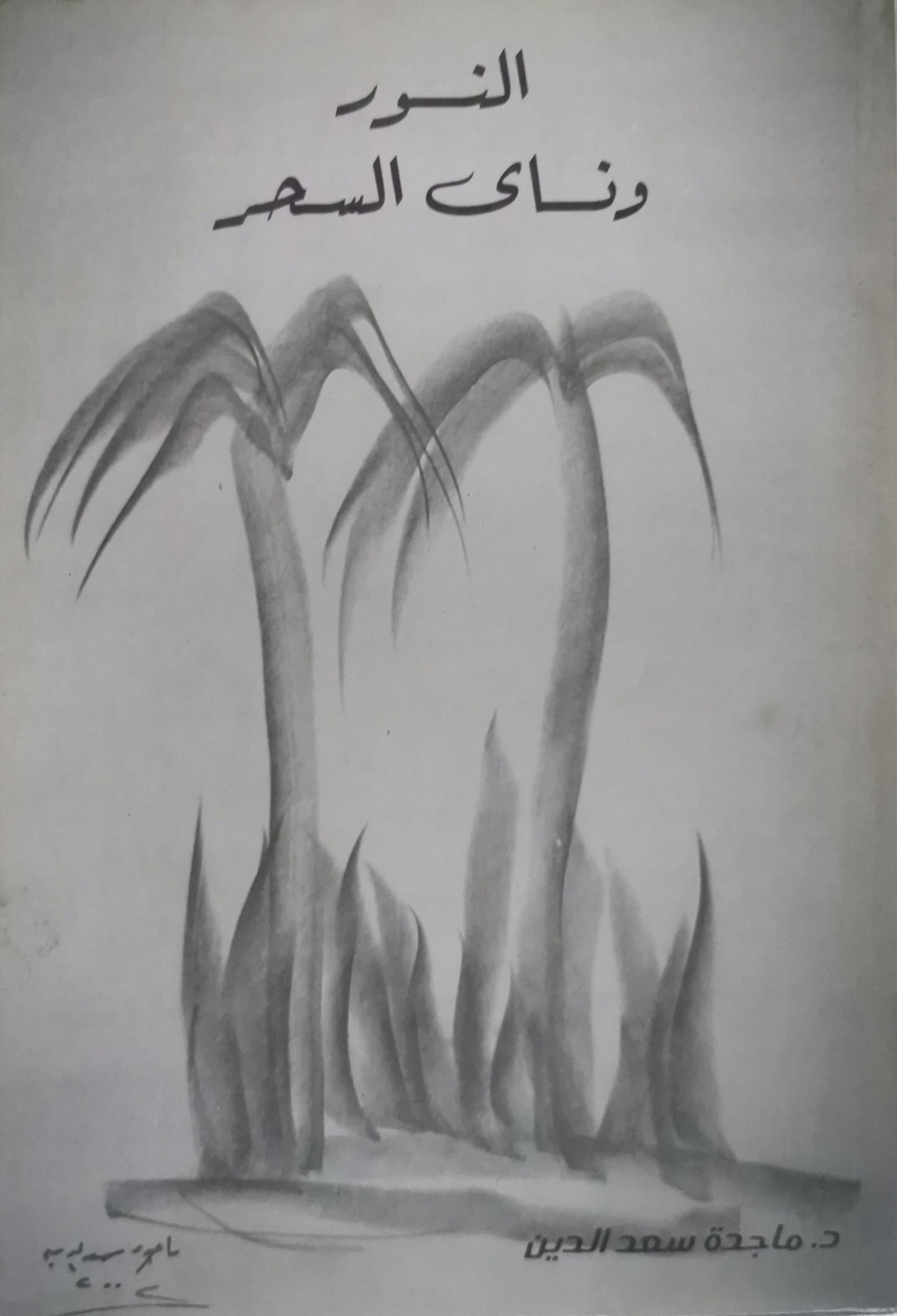 النور ونقاء السحر - د. ماجدة سعد الدين