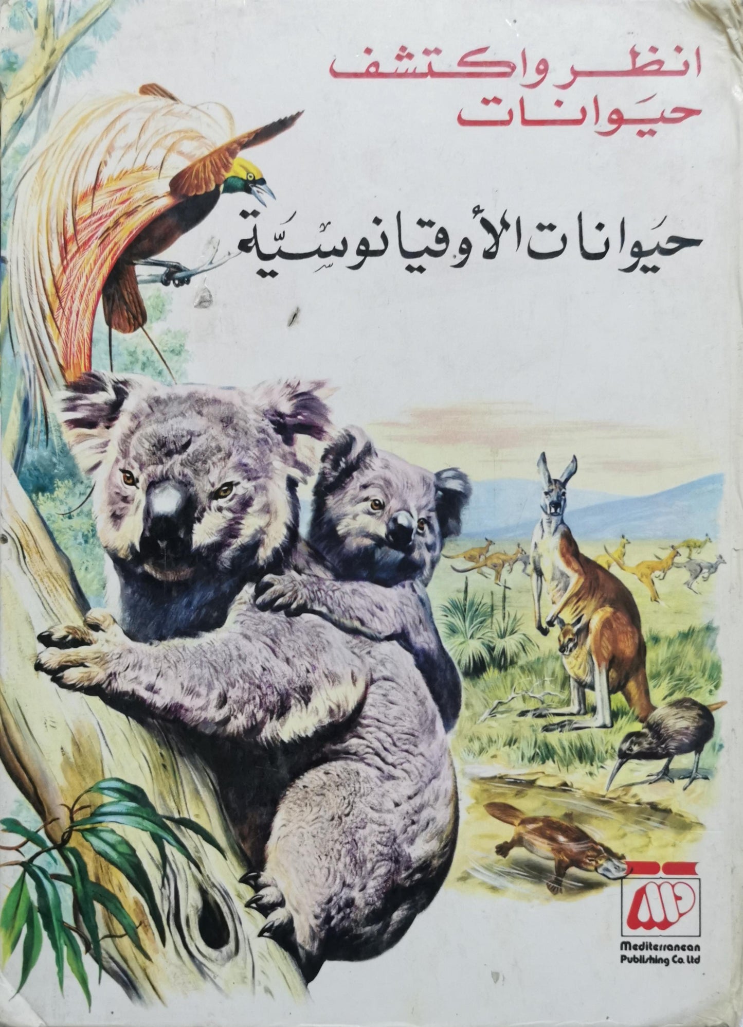 حيوانات الأوقيانوسية