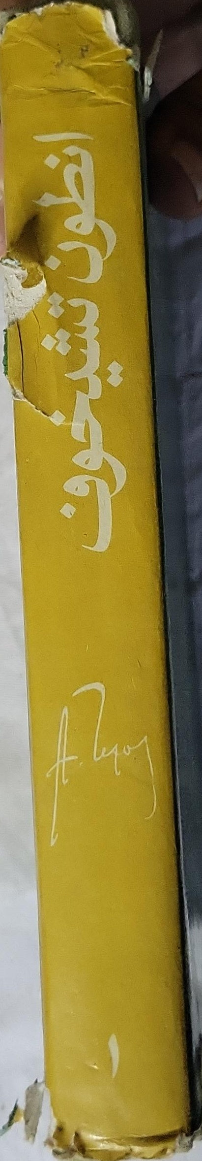 انطون تشيخوف: مؤلفات مختارة: في ٤ مجلدات - المجلد الأول - انطون تشيخوف - أبو بكر يوسف