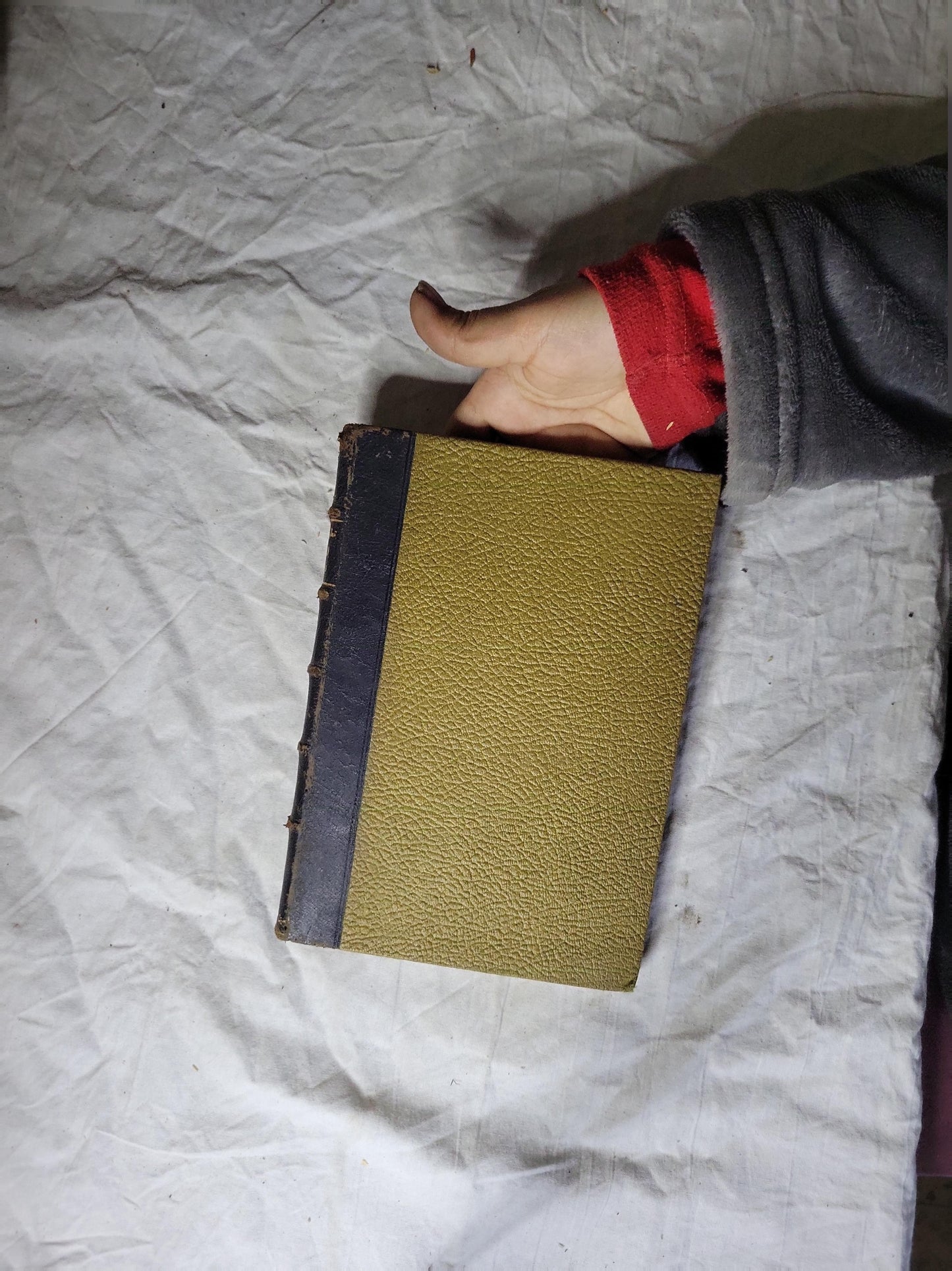 تطور الصحافة في مصر: من عهد محمد علي إلى عهد الفاروق - إبراهيم عبده - درية شفيق