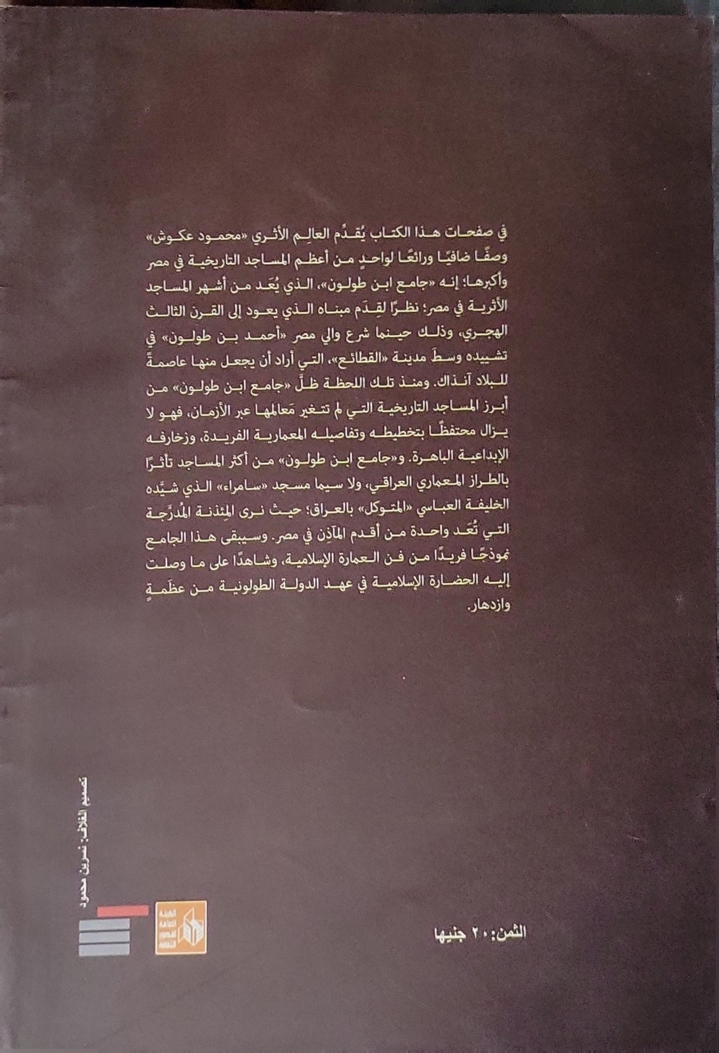 تاريخ ووصف الجامع الطولوني - محمود عكوش