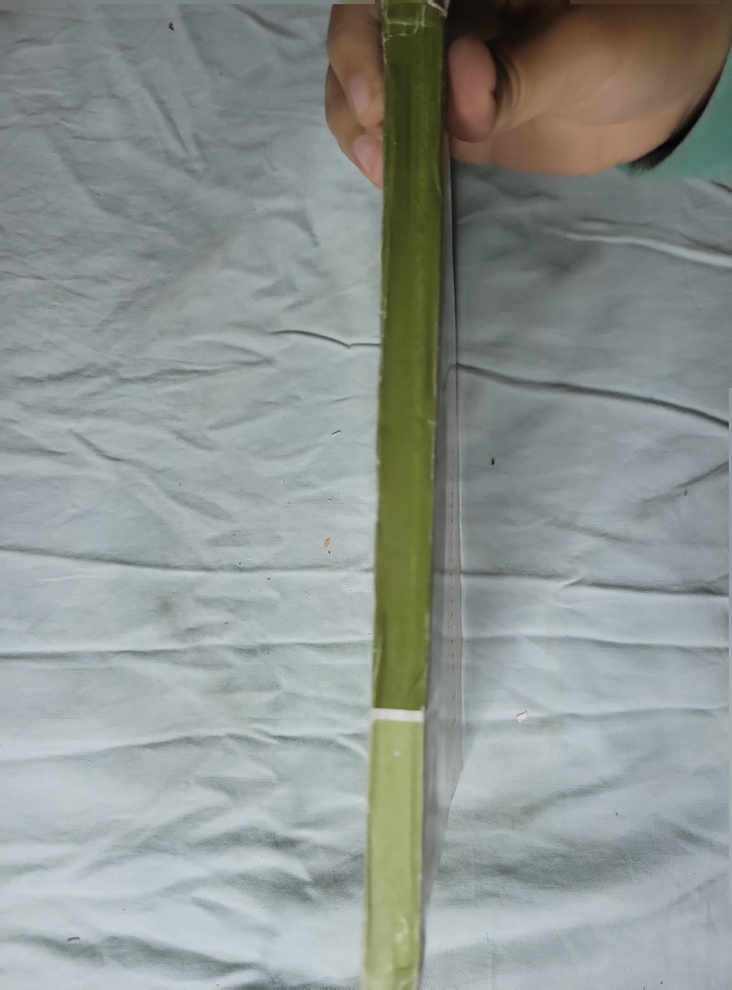 علم النفس الاجتماعي والتاريخ - ب. بورشنيف