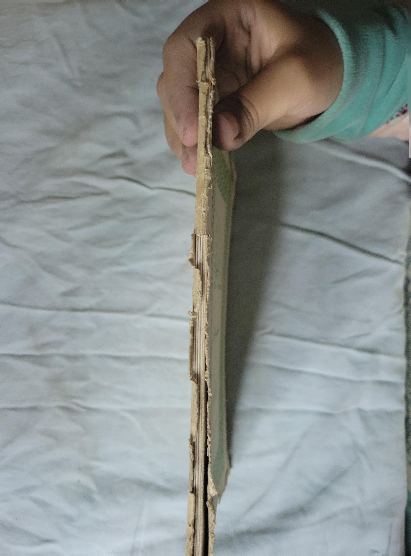 <unknown>: أحد الشعانين — الطبعة الأولى