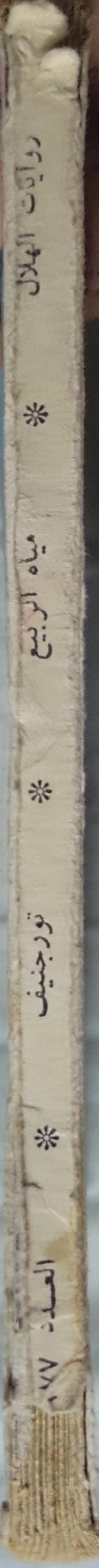 مياه الربيع - تورجنيف