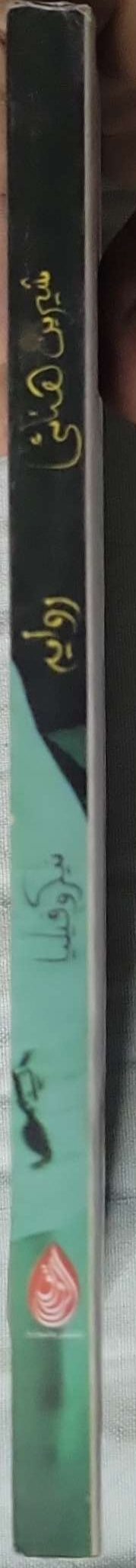 نيكروفيليا: رواية — الطبعة الرابعة - شيرين هنائي