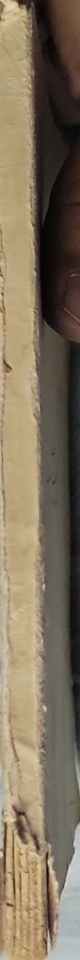 مجنون لیلی