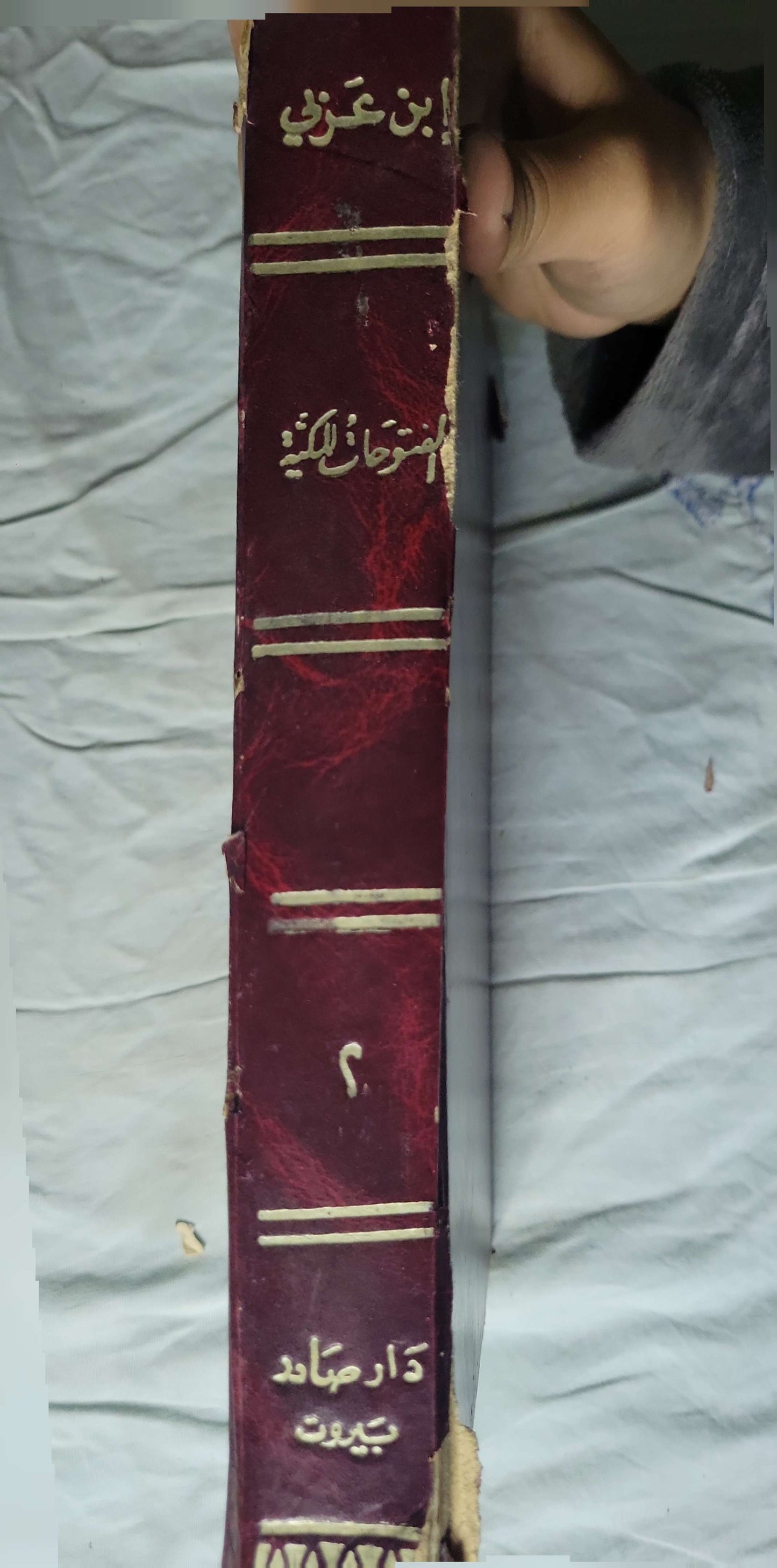 الفتوحات المكية: المجلد الثاني - محيي الدين بن عربي