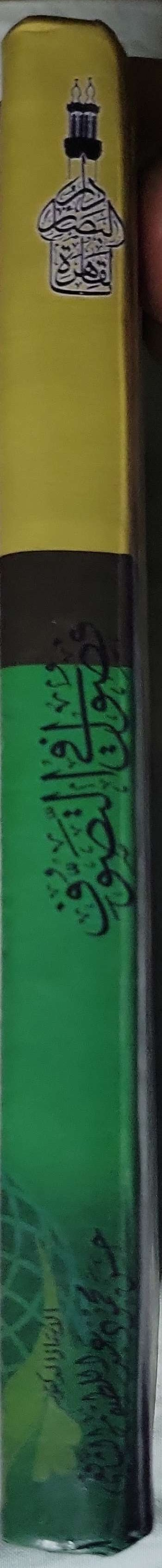 فصول في التصوف - عاصم محمود عبد اللطيف الشافعي