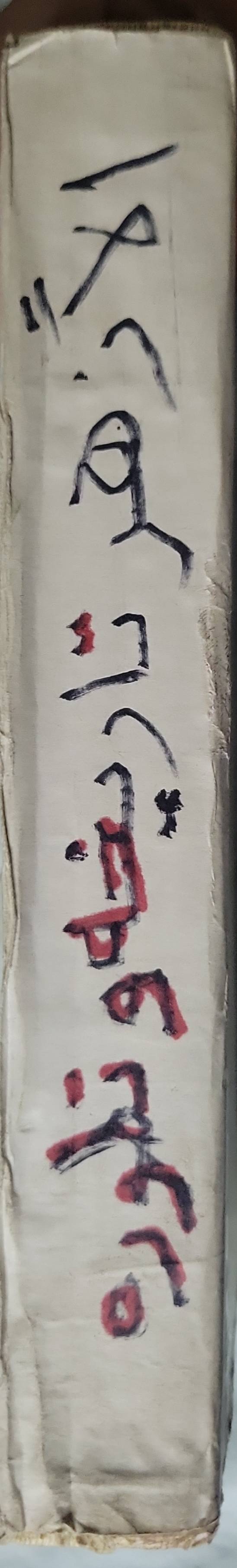 الأزهر: نشأته وتطوره