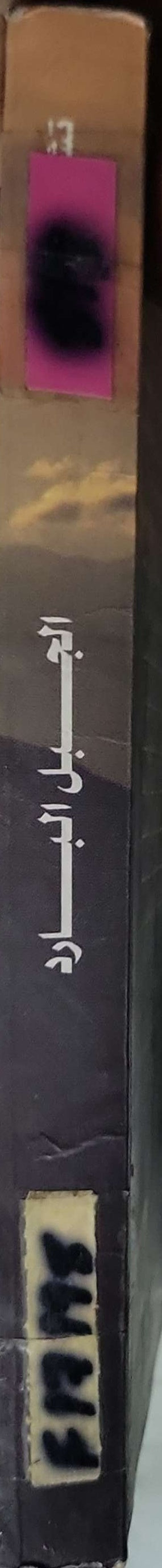 الجبل البارد (2001) - Charles Frazier - د. أمين العيوطي (مترجم)