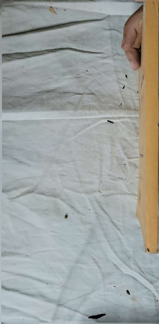 أكثر من شئ - وفية خيري