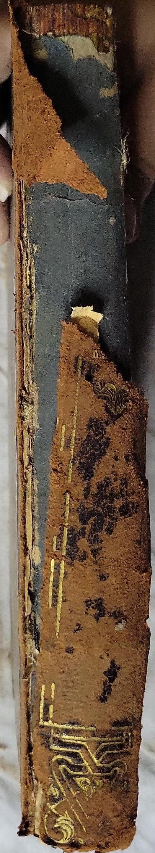 Βιβλιοθήκης Ελληνικής Βιβλία (1807) — Bibliothiki Ellinikis Biblía (1807): Τόμος Α' (Περιέχων τὸ Πρώτον Βιβλίον). By Ἀνθίμος Γαζῆς (Anthimos Gazis)