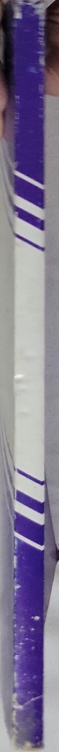 A New English Course: (Anglo)