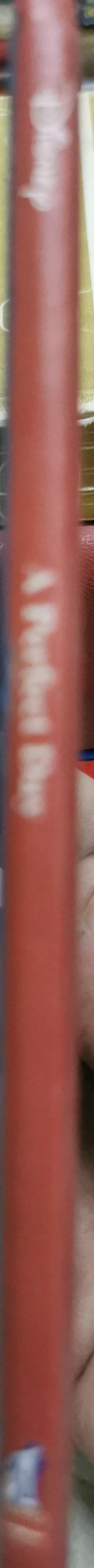 A Perfect Day By Disney