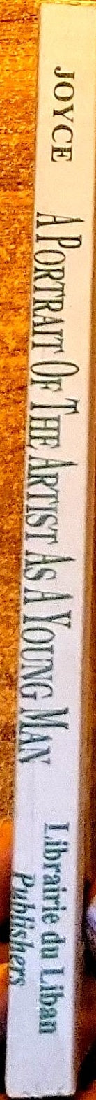 A Portrait Of The Artist As A Young Man